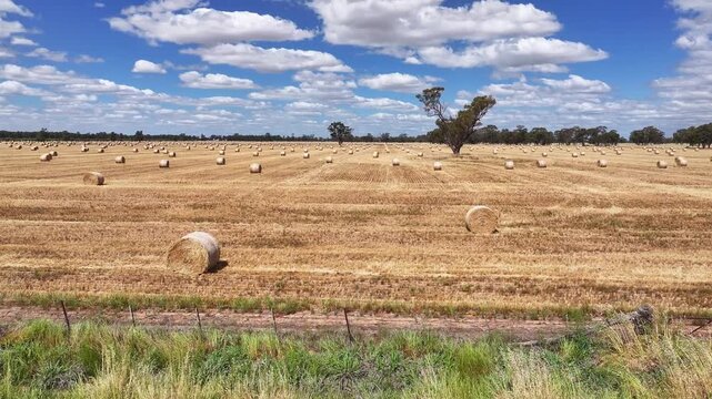 Rise up drone view of straw bales across harvested paddock