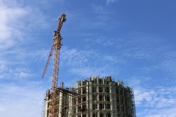 Tower Crane at Structural Framework Stage