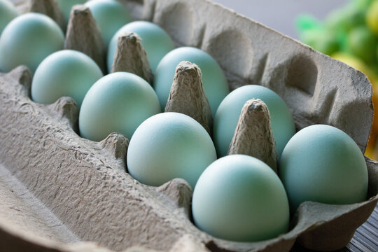 A view of a carton of blue eggs, seen at the farmers market. - Powered by Adobe