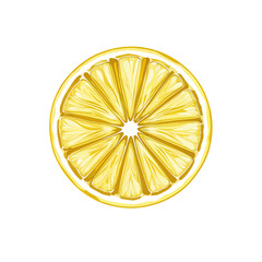 Fresh yellow lemon slice illustration revealing juicy segments and bright zest isolated on transparent background