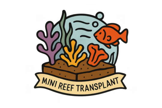 Mini reef transplant illustration with marine life