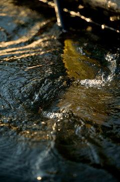 Close-up of paddle slicing through water at sunset