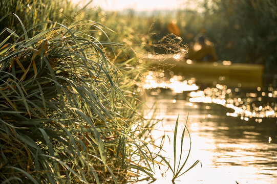 Golden Hour Reflections on a Quiet River