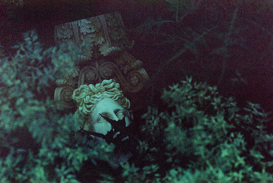 Hidden statue among lush greenery