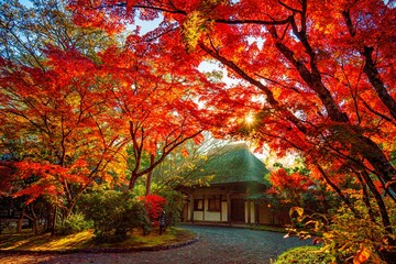 由布院の紅葉