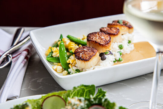 Scallops