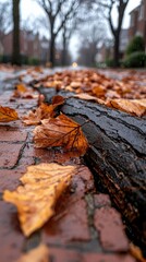 Close-up shot of wet brick road covered in fallen leaves and a dark log, with a blurred background of houses and trees, evoking an autumnal mood.