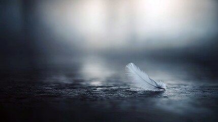 A single white feather lies on a textured dark surface, with a blurred, moody background. The image has a soft, ethereal quality.