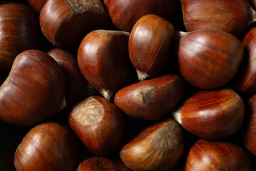 A top down view of a layer of chestnuts, as a background.