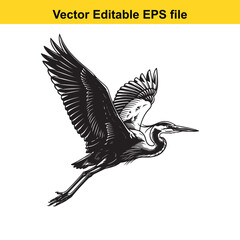 Obraz premium Detailed black and white vector illustration of a great blue heron bird in flight with wings spread wide, isolated on white background