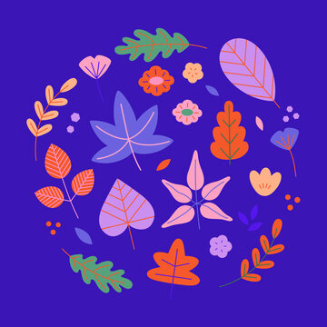 Colorful Autumn Leaves and Flowers
