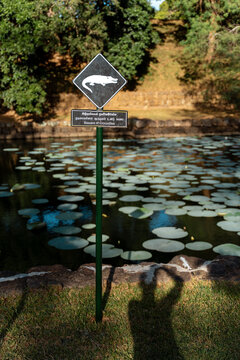 Beware of crocodiles Warning Sign, travel Sri Lanka