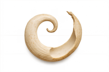 Natural dry plant spiral curling element