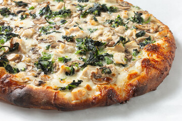 A view of an Alfredo chicken pizza.