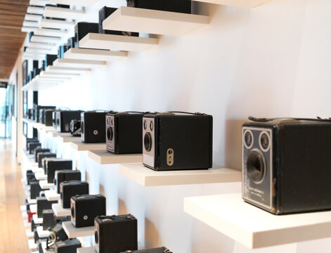 Collection of Vintage Cameras Displayed on White Shelves