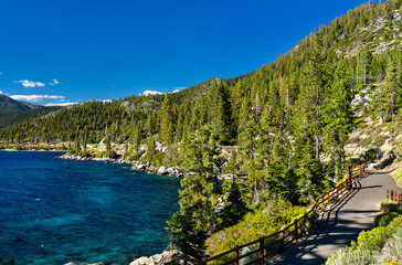 The paved Lake Tahoe East Shore Trail on a sunny day. The path curves past green trees and bushes, with the blue lake visible on the right. Represents outdoor recreation, hiking, and biking