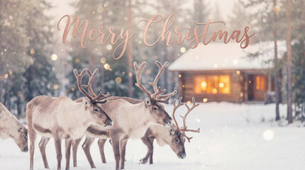 Reindeer in snowy forest with warm cabin lights & Merry Christmas text. Use for classic holiday cards, winter travel themes, nature promotions & rustic outdoor celebration content.
