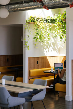 Modern cafe interior with greenery, seating booths and person at work