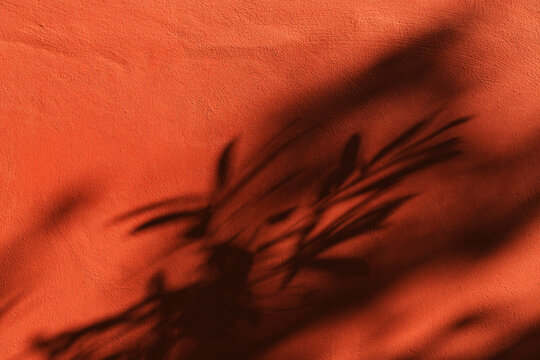 Shadow of tree branches and leaves on red painted wall - Powered by Adobe