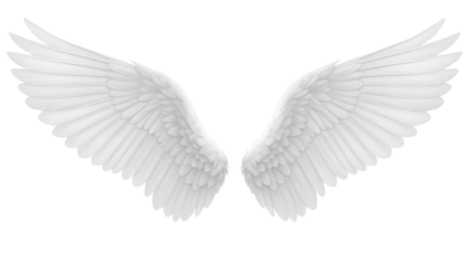 Elegant pair of fluffy white angel wings spread wide, perfect for fantasy concepts on isolated background