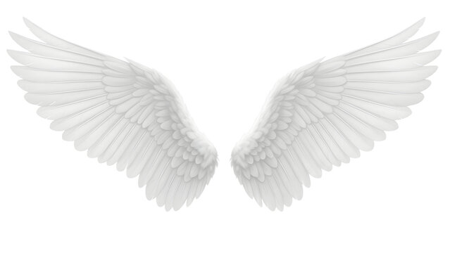Elegant pair of fluffy white angel wings spread wide, perfect for fantasy concepts on isolated background