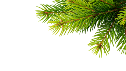 Festive fir branch creates holiday cheer, perfect for seasonal designs and greetings on isolated background