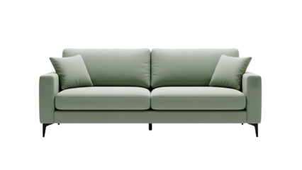 Modern sage green two-seater sofa offers comfortable style for contemporary living rooms