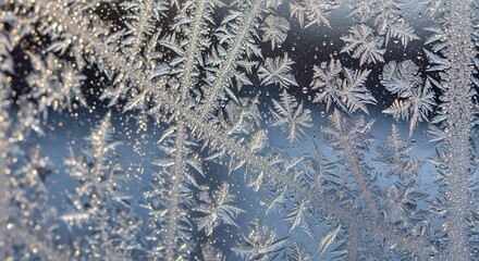 A detailed macro photograph of delicate ice crystals forming intricate frost patterns on a windowpane.