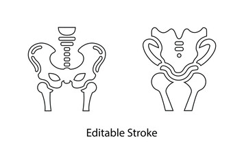 human pelvic bone icon editable stroke vector set, pelvis icon, hip joint vector line icon illustration