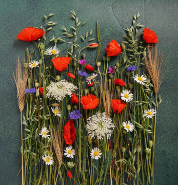 Meadow with velvet background