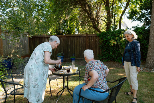 Friends in a sunny garden sharing wine and snacks