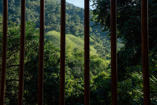 Fototapeta Lush Green Hills Seen Through Wooden Slats in a Tropical Forest