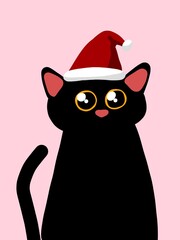 christmas cat with santa hat