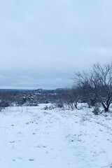 Fototapeta premium Texas winter landscape with snow weather in vertical view, calm and peaceful scenery