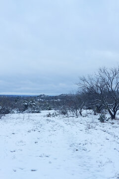 Fototapeta Texas winter landscape with snow weather in vertical view, calm and peaceful scenery