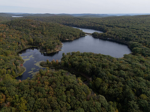 Curved lake surrounded by dense autumn forest
