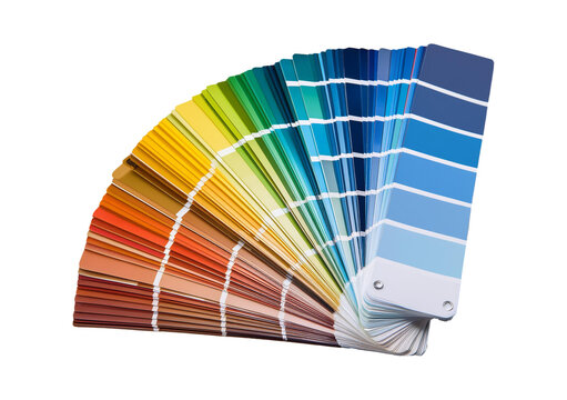 Color palette guide isolated on transparent or white background