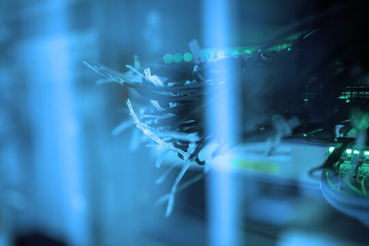 Blue Glow of Network Data Cables and Hardware