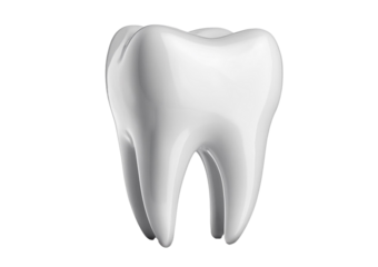 Teeth isolated on transparent or white background