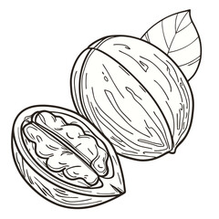 Set of nine simple line art icons of various insects, featuring butterfly, bee, mosquito, and ladybug vector illustrations.