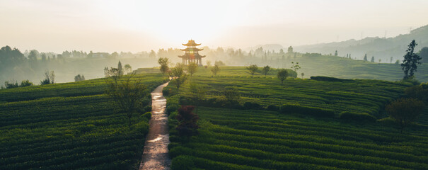 Obraz premium Aerial view of beautiful tea crop terrace landscape in China