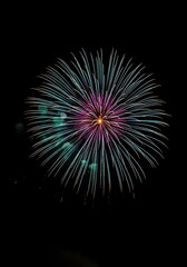 Fototapeta premium Spectacular Fireworks Display Illuminating the Night Sky with Vibrant Bursts of Teal Purple and White a Celebration of Independence and Festivities