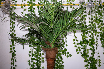 Decoration with a plastic palm tree and plant garlands