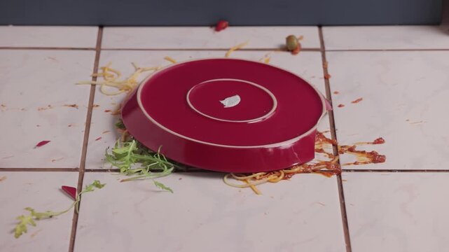 Pasta plate hitting the floor breaking