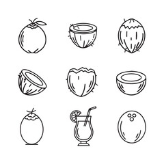 Clean Coconut Outline Artwork Collection in Black and White for Logos, Apps, and Print Projects