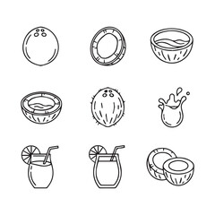 Minimal Coconut Line Artwork Set in Black Lines Featuring Various Coconut Shapes and Styles