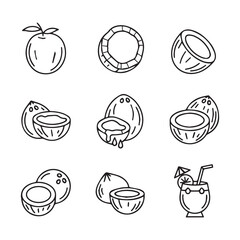 Coconut Line Art Set in Black and White Featuring Multiple Minimal Outlined Coconut Illustrations