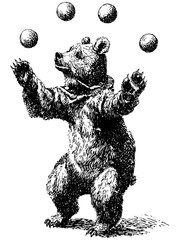 Vintage engraving of a circus bear juggling on a tightrope, detailed retro etching vector illustration on transparent background.