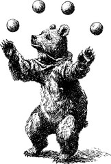 Vintage engraving of a circus bear juggling on a tightrope, detailed retro etching vector illustration on transparent background.