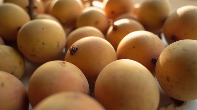 Exotic langsat fruits glistening in warm sunlight, a tempting tropical harvest, perfect for healthy eating, and vibrant culinary creations